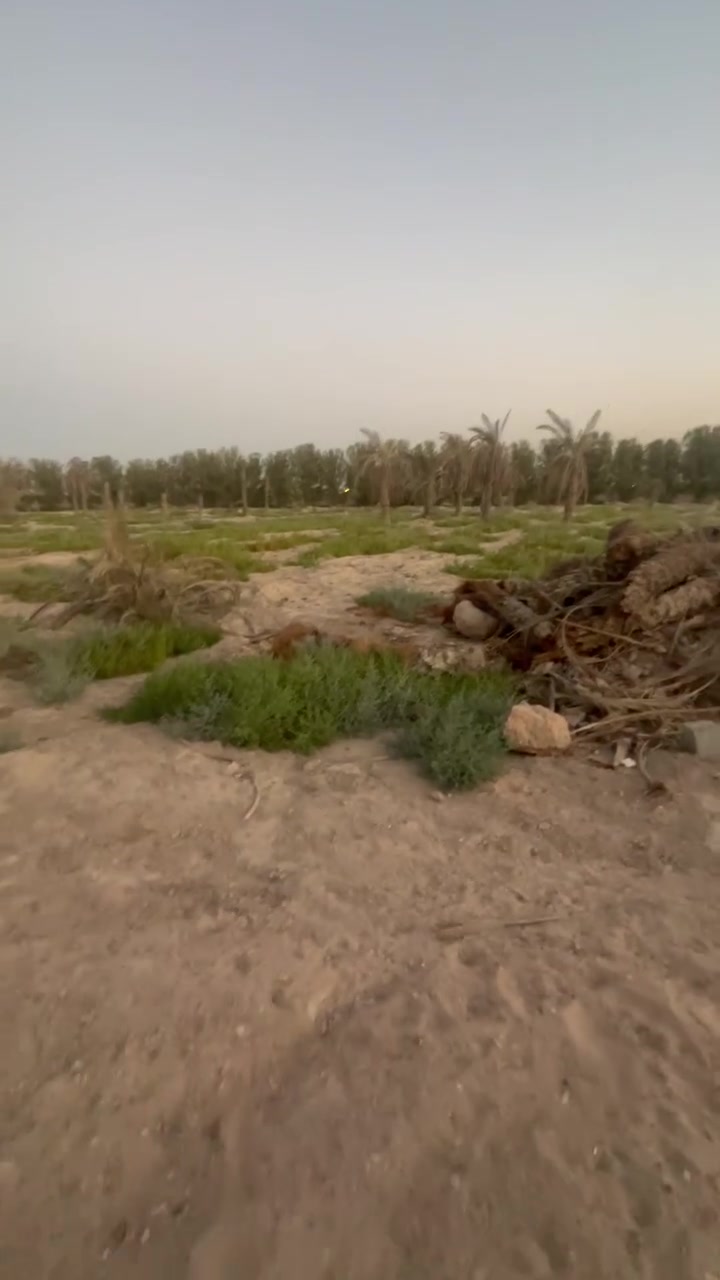 البصره ابو الخصيب • دونم • طابو ملك صرف