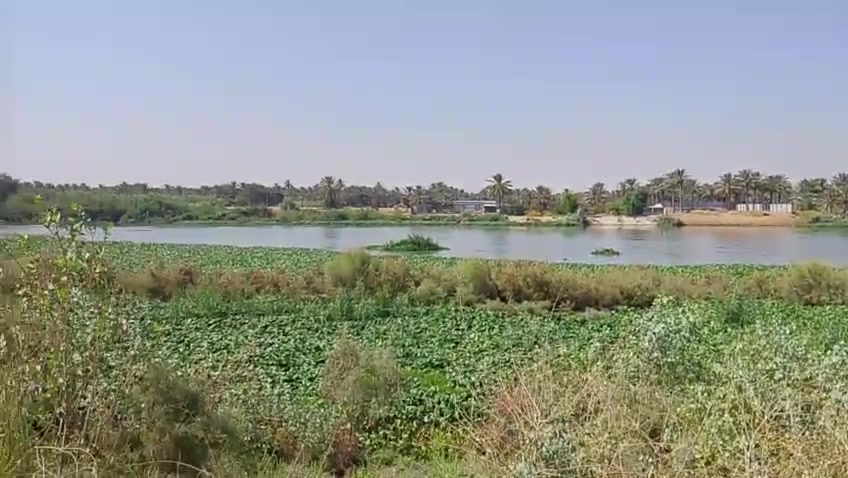 السلام عليكم دونمين الاربع طابو زراعي سند 25 كربلاء طوريج منطقة محمد العابد على شارع شط الفرات  مباشر واجهة ٤٥ متر كافة الخدمات كهرباء وماء سقى سعر الدونم الواحد ٦٥ مع المجال للاستفسار الاتصال على الرقم *********** او ***********
