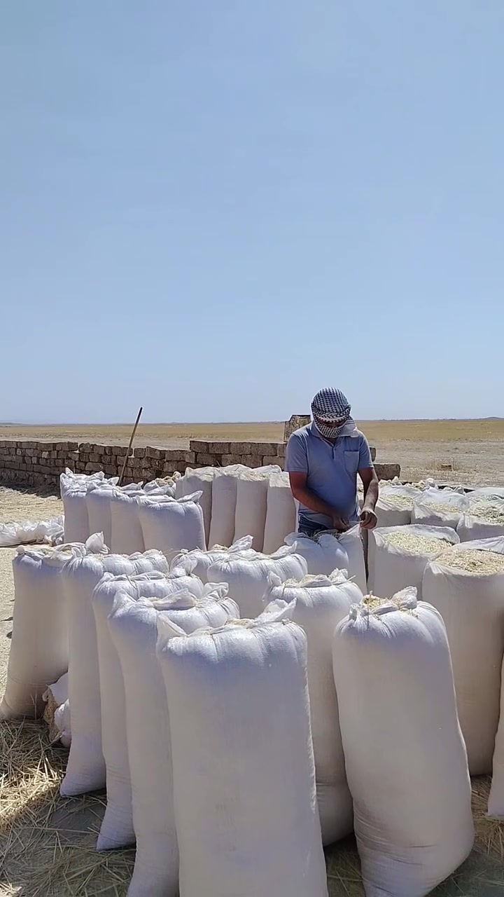 السلام عليكم يوجد لدينا تبن للبيع تبن مال السنه جديد لمه اليد مال  دكاكه القديم نظيف مابي تراب  يجيك مجيس متروس ترس مكان تلعفر                            قريه شرائع اليريد يتصل عل ارقام وتوصيل مجاني *********** كورك ***********               آسيا ***********
