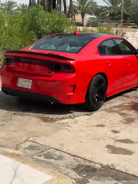 ياالله لبيع دوج جارجر RT 5700 مديل 2018 لون مميز 🍊 برتقالي سياره جديده عليه دامه كامله 
ماشيه سياره 114 تفاصيل كامله بل منشور 
1تخم تاير جديد 
2ويل نجمه خسفه لقويه 
3 باتري جديد ايسي ديلكو سعودي
4صدر مامي وخلفي جديد 
5سلف مال سكات جديد 
6 كاردن وفيتبم وفلاتر جدد 
7 نوزلات ومي زيتي ولف حماوه  
8 منضومه لايت زنون 
سياره ما ناقصه برغي سعر195  ورقه ماكو هيج سعر وهيج نضافه  مكان بغداد شعب   تصال  *********** صور لحادث بل منشور  ملاحضه سياره     بدون دواخل يعني بدون يارباك حادثه سرقه قطععتين ومكينه و راجعات نفسهن يعني ولا قطعه بس بيه بابين كلير من مريكه مال سايق ول بصفه محدثه دعاميات وبنيد ودوسات مال اس ارتي ول دعاميات لقديمات  عندي نطيهن وياهه حته لكواتم هم موجودات بيه كزوز دبات سود
