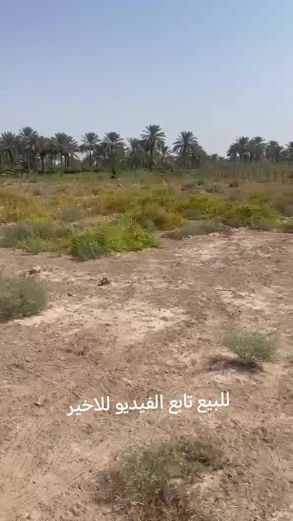 ايجار • ٣ دوانم ونص • بابل طريق حله
