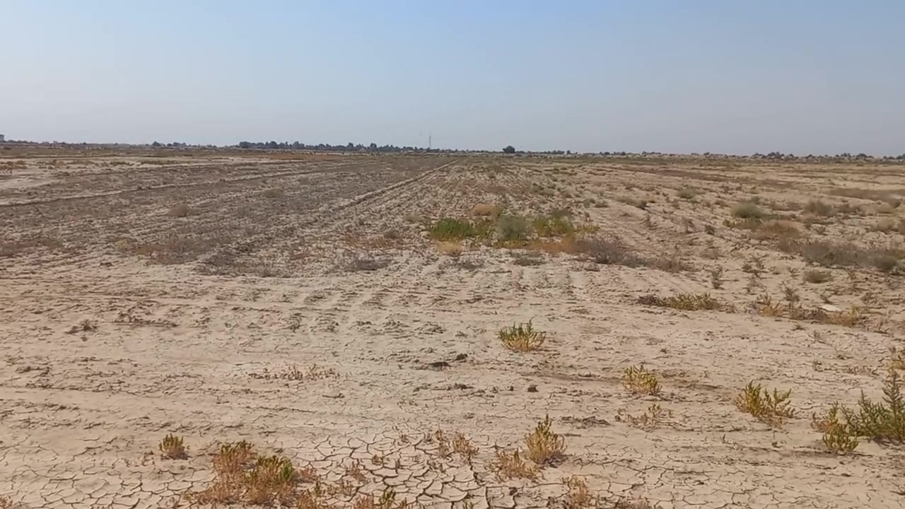 ٥دوانم • طابو زراعي • العجاريج ولخشيمات