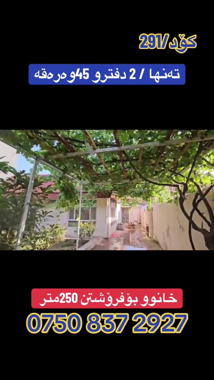 أربيل • ٢٥٠م • واتساب