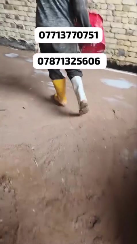 سلام عليكم نجارينه حدادينه احنه جماعته الصب *********** اليدوي عدنه كادر عمال نشتقل جميع القياسات الي عنده تصليطه صطح صبت نظافه رباطات بيتونه ناخذ قياس الصب ونترك السيراميك تنضيف حدل تقطيع جوينات احنه بل خدمه
