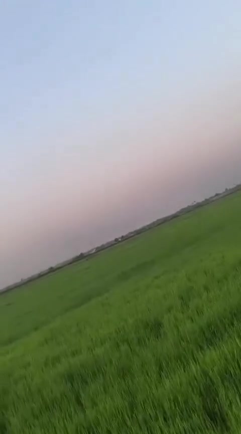 ارض زراعي طابو زراعي صرف مداور ٢يوم ٦دونم عل سياحي شارع مستوصف ٥٠٠متر عن شارع عام متوفرقم كافة خدمات سعر الدونم ٣٣مليون معه المجال ***********وتساب اتصال عنواني الكوفه شارع سياحي قرب سيطرة معمل سمنت كوفه جهة سياحي

