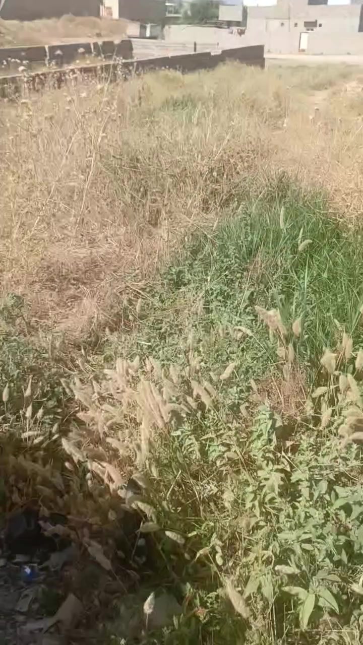 السلام عليكم قطعة ارض للبيع في قريه رحمه مساحه300 متر ***********
