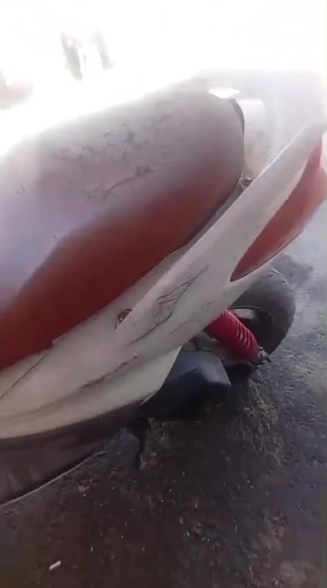 السلام عليكم شباب دراجه سكنس فحل شلعه معدل دراجه حلوه بيه نقص فقط قبق هندر كلجات رياضي قايش اصلي يدأت اصليه المكان البياع تقاطع درويش حي المعالف السعر 500 وبيه مجال
***********
