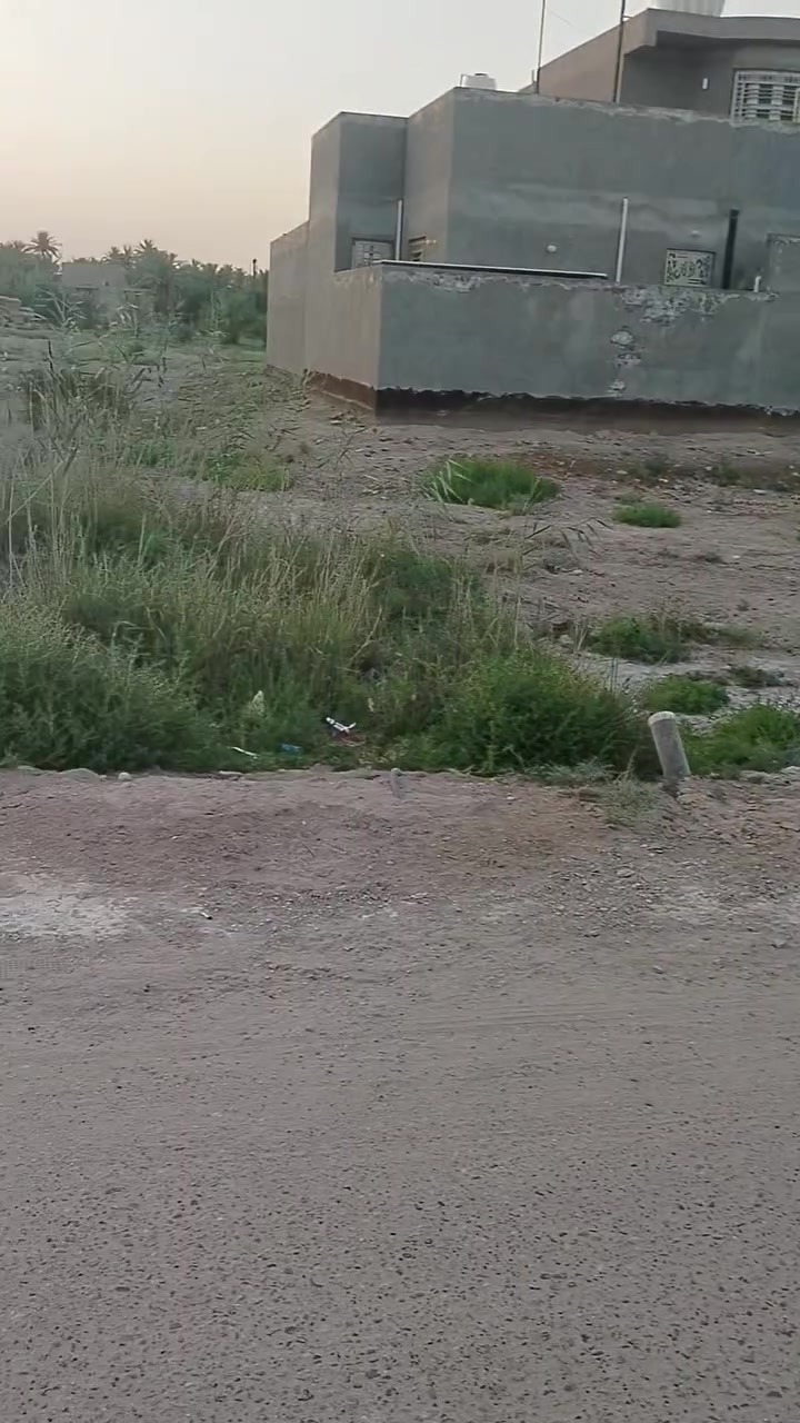 الرشيده • ٤٠٠م • تحويل مباشر