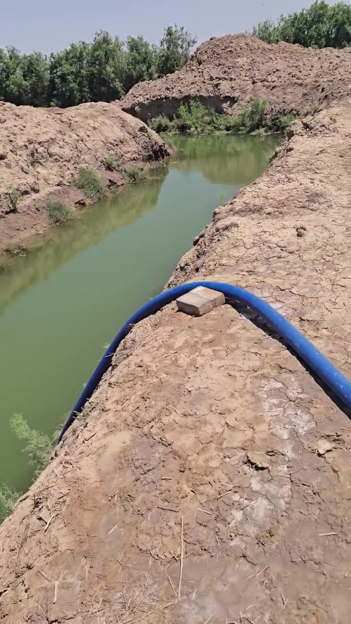 ارض زراعه للبيع المساحه ٦ دونم سعر الدونم ٦ مليون كافه الخدمات الأرض صالحه للزراعه بس متروكه تداور بسمك ٠ المدرسه تبعد عن الأرض ٤٠٠ م التبليط كيلو والكيلو مدفون من قبل الدوله ترابي جاهز للتبليط تقع على مشروع ماء متوفر شته صيف لا توجد اي مشكله قانونيه ولا عشائريه  مع مضخه ماء ١٠ حصان ٠بالنسبه للكهرباء تبعد عن الأرض ١٠٠ م ويتوفر معامله مع كافه الموافقات الطرق الاثار النفط الغاز وموفقه السكك بغداد مع موافقه  الناحيه  كامله محوله واسلك ٠ العنوان الديوانيه قضاء الدغاره بتجاه الشوملي ٠واكو طريق للكاع من السريع الدوالي مقابل مطعم قصر السلطان  ***********

