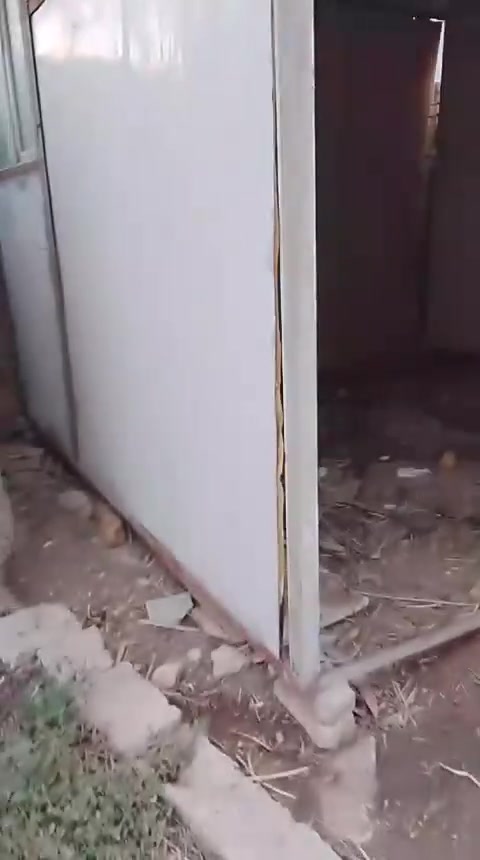 كرنفال