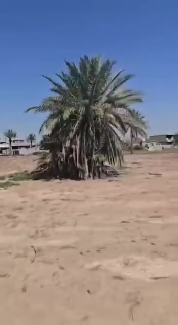 ً
دونم للبيع
مقابل مطحنه الكرخ المحمودية
قريب ع سوك
وجه الدونم 28م
النزال 90م
طابو زراعي سند 25
ييعد ع شارع حلة كربلاء 150م
 يوجد ماء وكهرباء
***********7883507979
