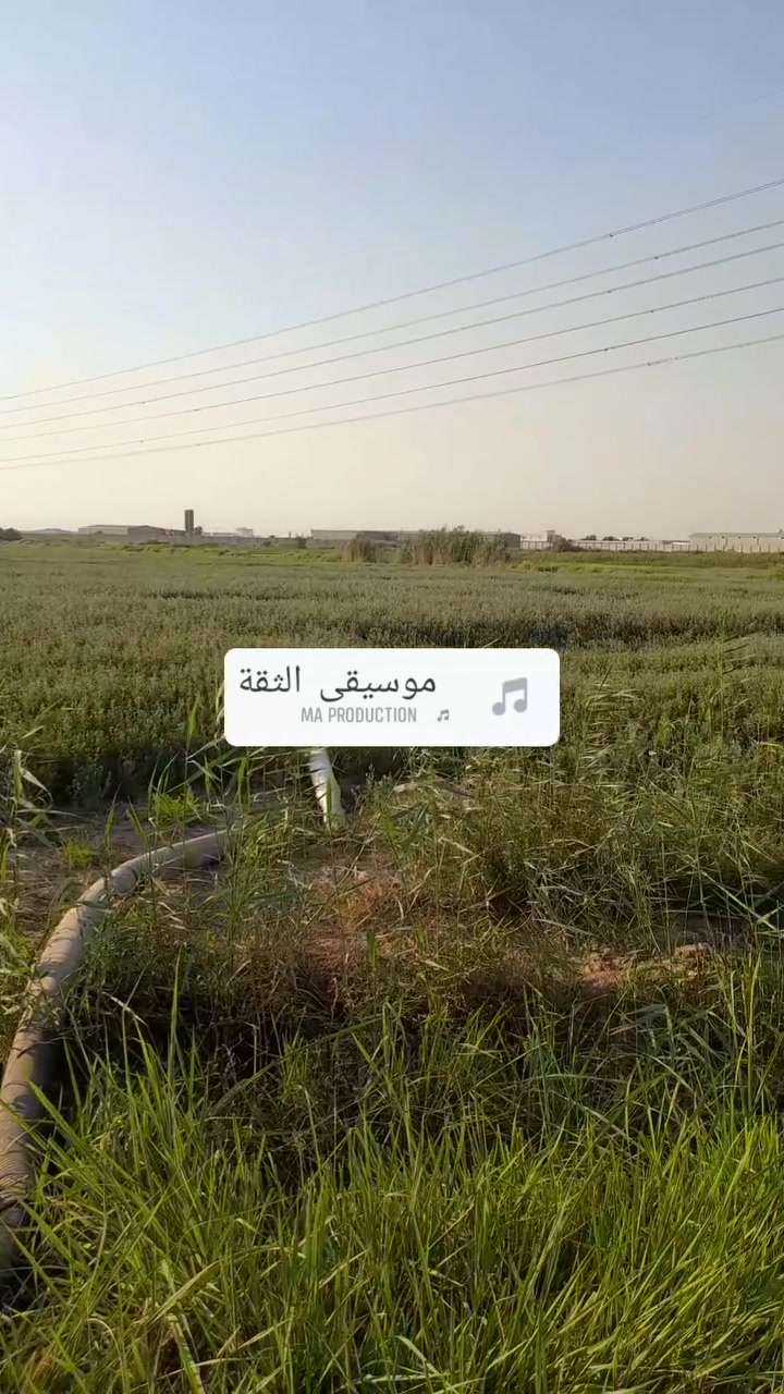 سلام عليكم دونم و ربع واجه 19 متر طابو سند 25 متوفر جميع الخدمات العنوان بغداد المدائن الجعاره قرب بسمايه الاستفسار ***********
السعر 95 وبي مجال للطيبين
سلام عليكم دونم و ربع واجه 19 متر طابو سند 25 متوفر جميع الخدمات العنوان بغداد المدائن الجعاره قرب بسمايه الاستفسار ***********
