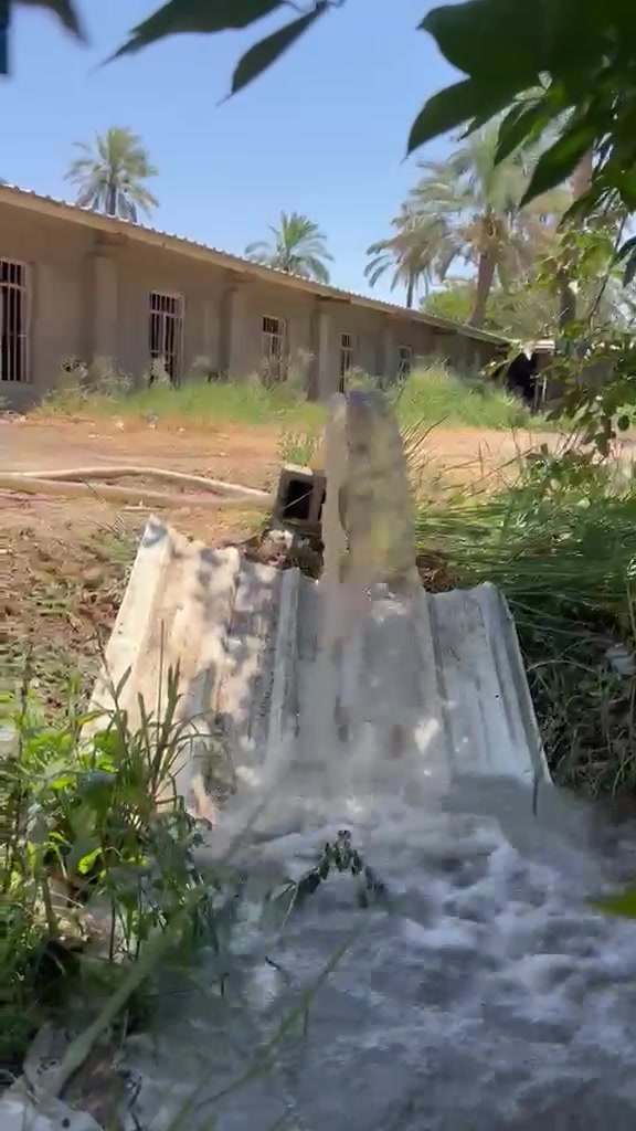 شركة دواجن للبيع مجازة دونمين مع بستان كهرباء ⚡️ وماء مكانها ناحية جديدة الشط قرية الحويش قرب منطقة الراشدية لاستفسار لاتصال على الرقم ***********
