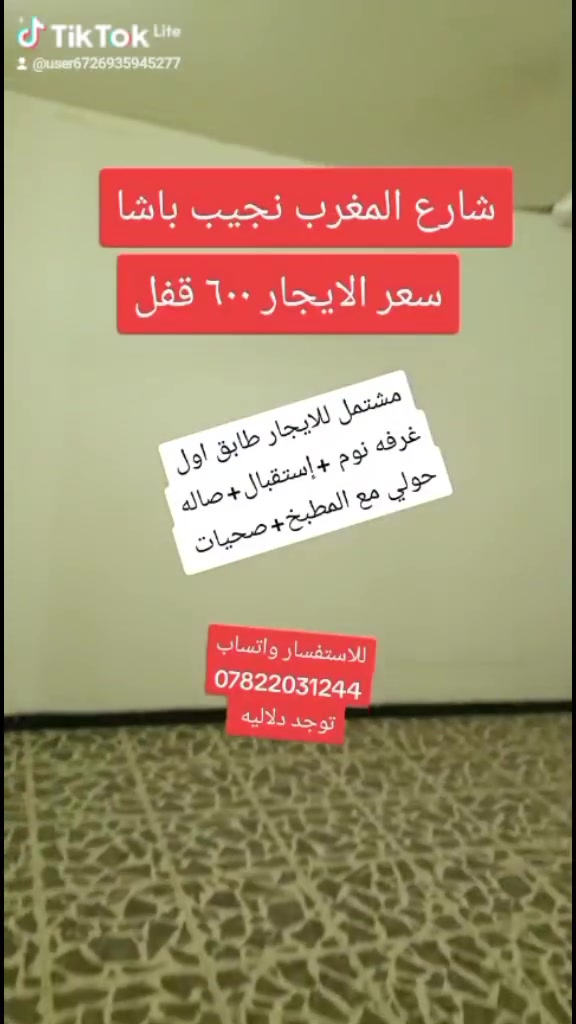 شارع المغرب نجيب باشا • غرفة ١ • للإيجار