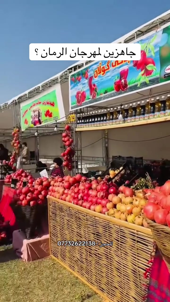 مهرجان الرمان • حلبجة • باصات خاصة