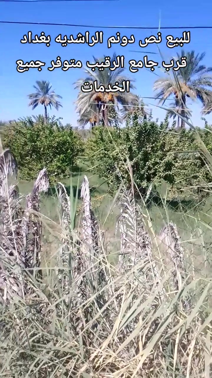 سلام عليكم موجود نص دونم للبيع بغداد الراشديه قرب جامع الرقيب متوفر جميع الخدمات اتصال على  رقم ***********
