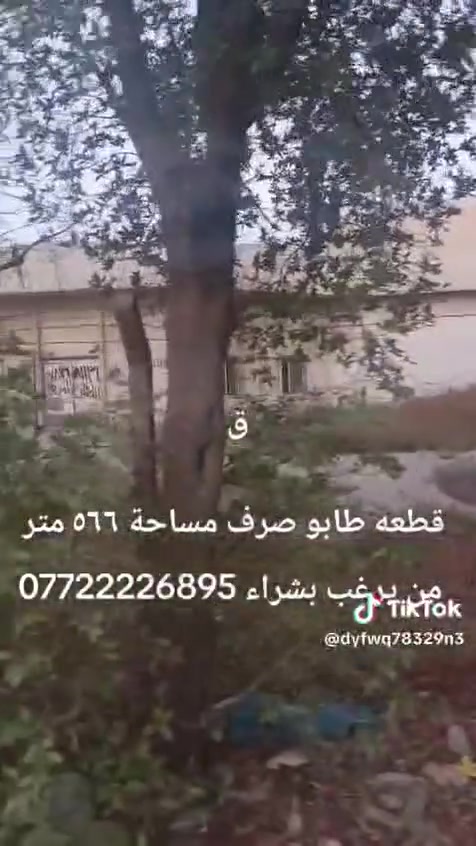 مقبل المحكمه الجديده • ٥٦٦م • طابو صرف