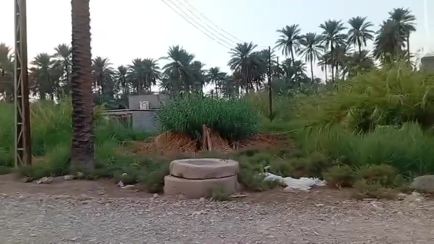 طابو زراعي • بهرز الشاني • ١٢٥م٢