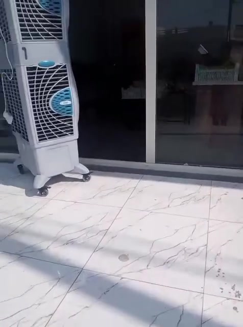 مسوين تخفيضات الحد الساعه 12 باليل
اليوم ثنين 2026/9/7
خانقين توله فروش قرب جامع ابو بكر بصف المولد 
يوجد لدينا خدمة توصيل ***********
