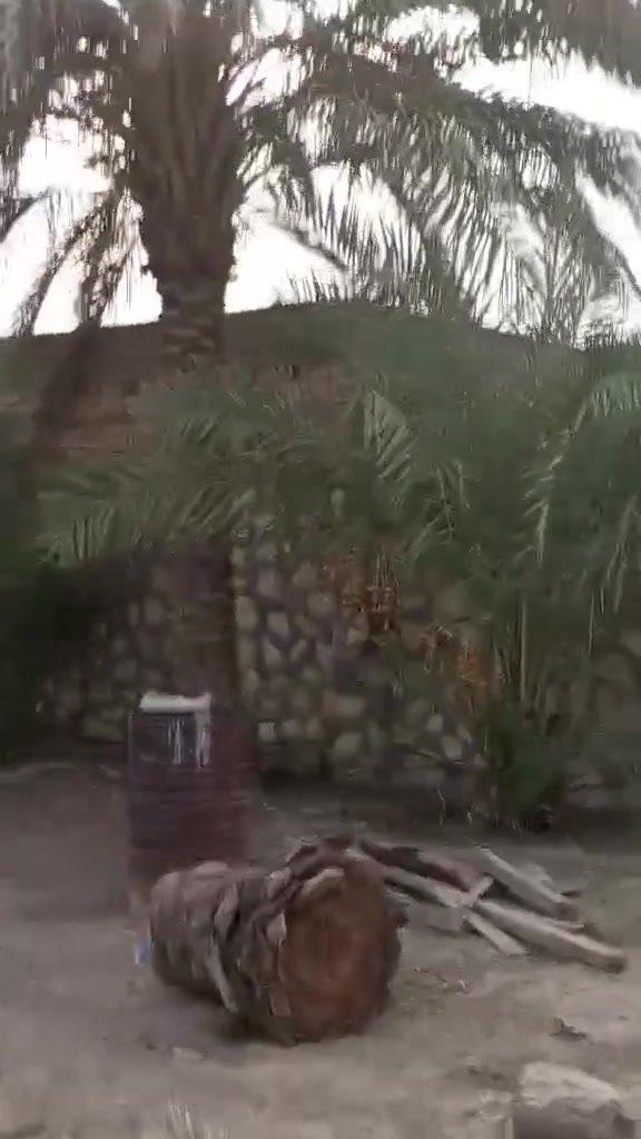 الحله الابراهيمه • بيت • ٩٥٠م