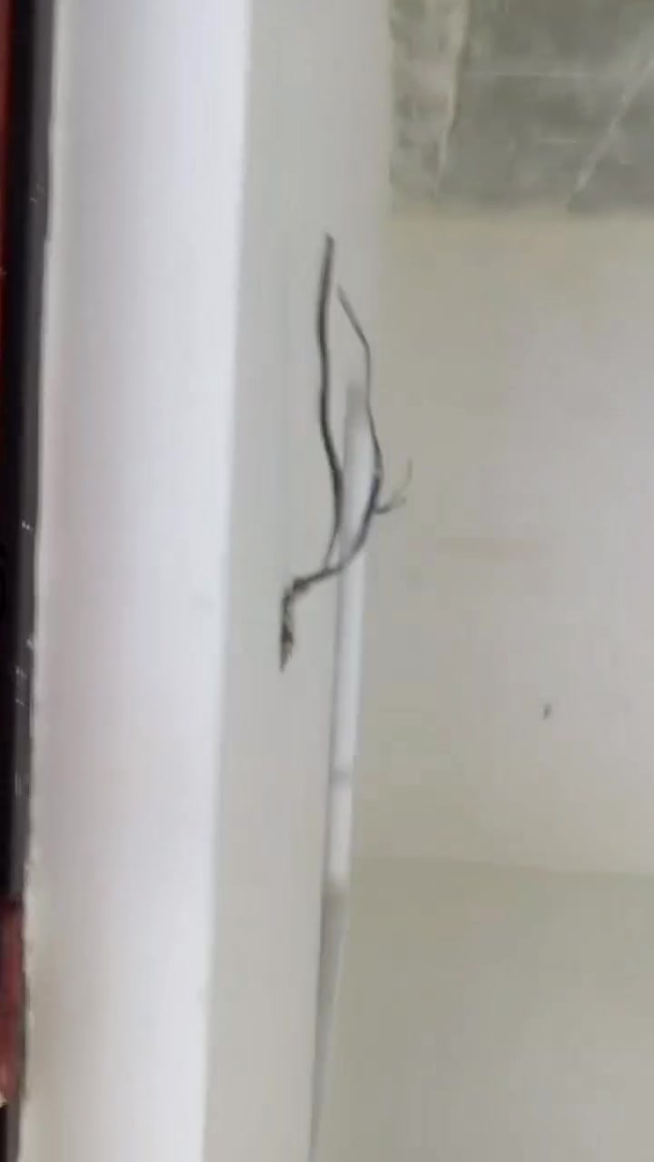 كادر خلفات جص بورك سمنت ترميم استلام من الكاع وتسليم مفتاح بل تقصيد لتواصل *********** واحنه بخدمه الجميع
