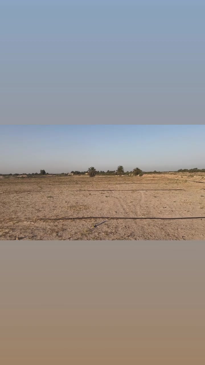 دونم • مجال