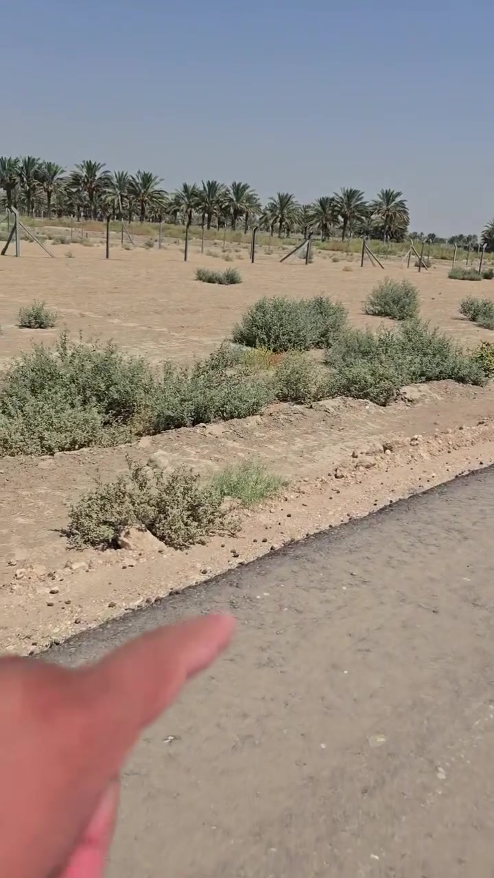 ارض زراعيه للبيع مساحه ١٠٠٠ متر طابو زراعي سند ٢٥. ***********
