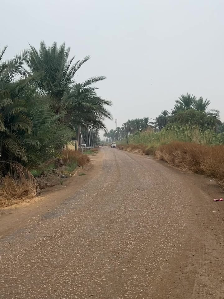 دونم كامل • سند ٢٥ • طابو زراعي