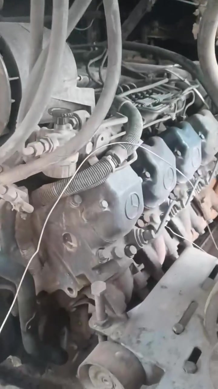محرك • بشرت • أربيل