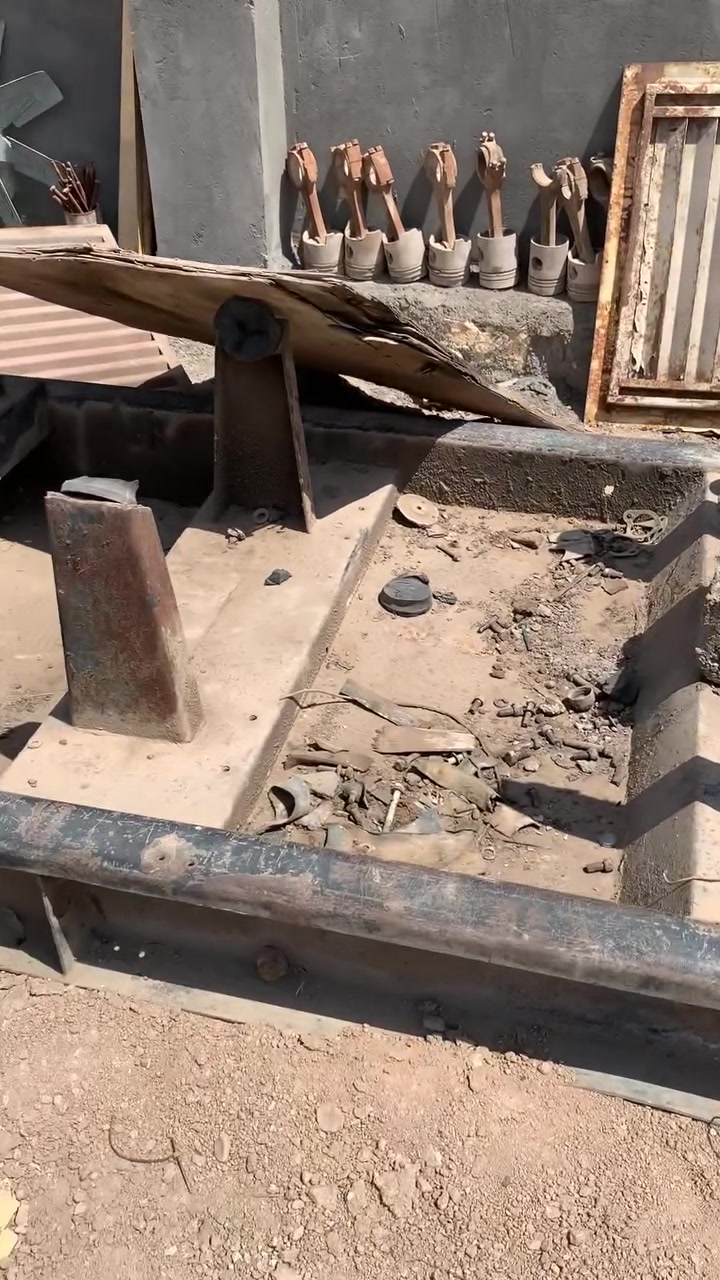 شاصي دايو • نضيف • ٣ ورقات