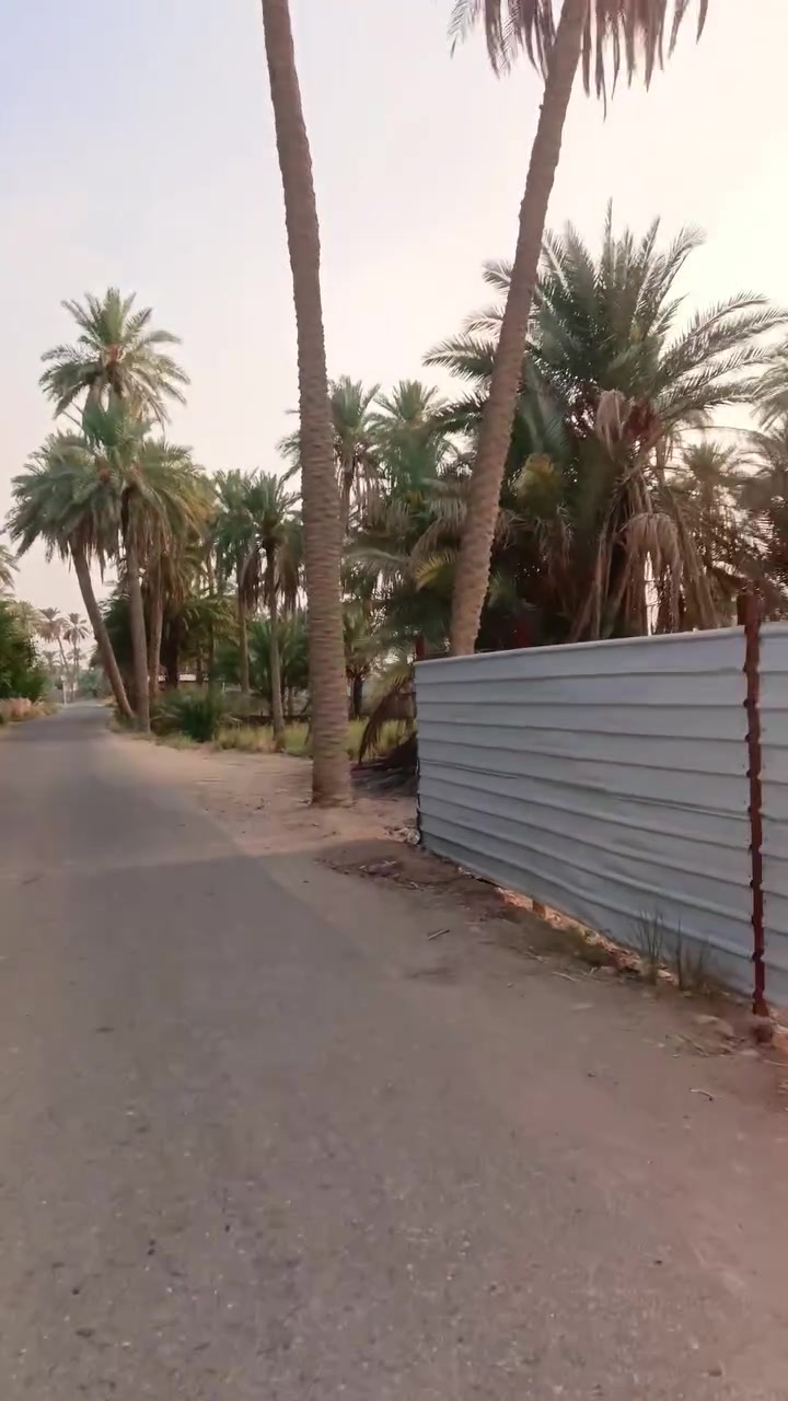 نصف دونم • شط الكوفة • طابو زراعي
