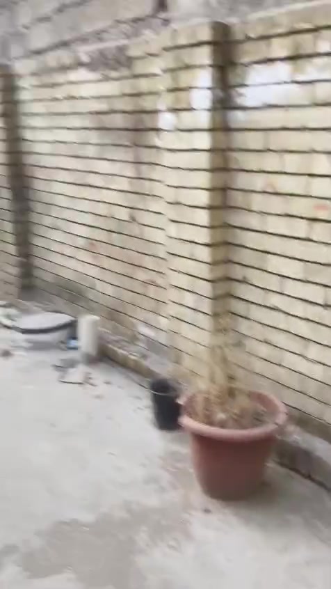بيت للبيع زراعي في المعسكر بلديات ٢٣٠ طابقين للاستفسار ***********

