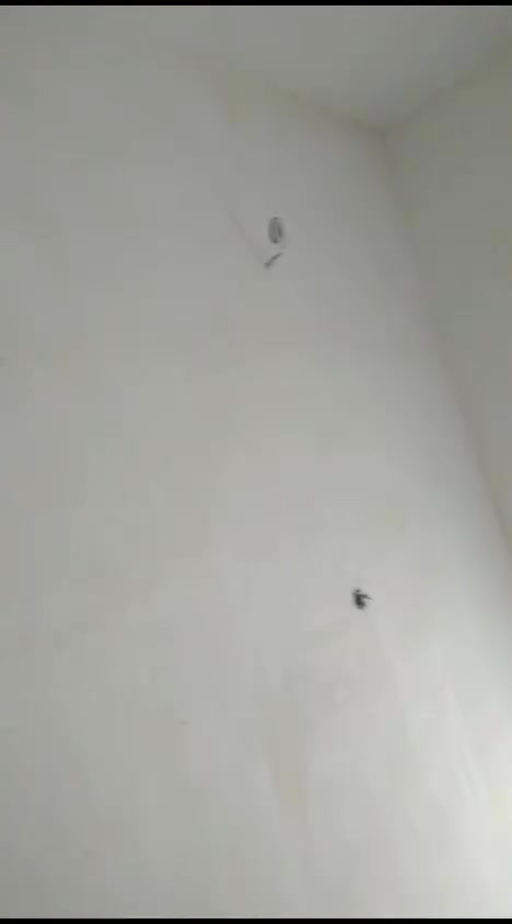 خلفة جص وبياض لبخ ونثر بغداد الدورة *********** واتساب
