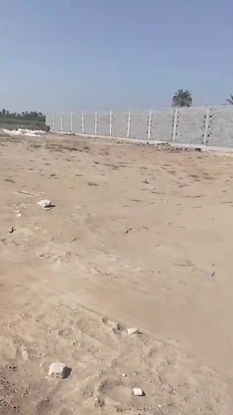 ناصريه شارع السفينه • شاطئ • ٣١٠٠م