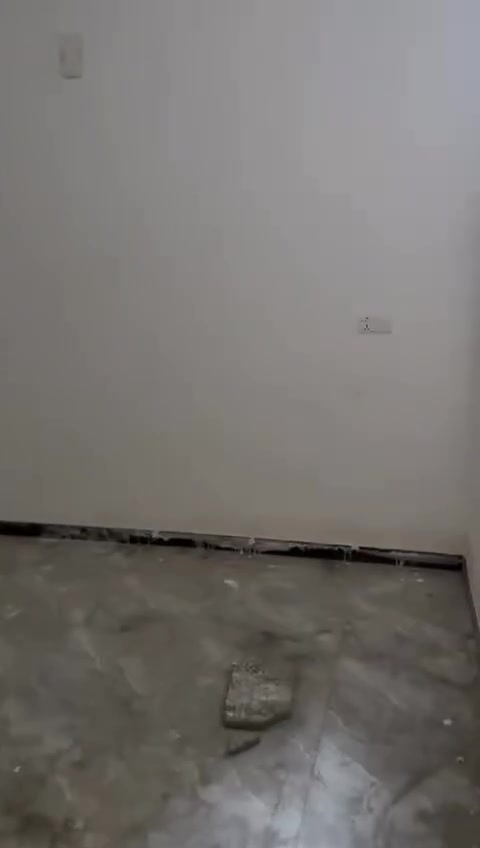 السلام عليكم شقه لليجار طابق ارضي مساحه ١٠٠ غرفتين ومطبخ وخدمات العنوان جكوك الاساتذى قفلها ٤٥٠ للستفسار ***********
