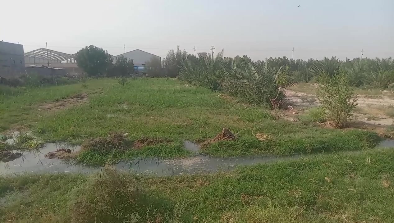 دونم للبيع
العنوان البصره الزبير قرب شركه الفيحاء شارع التانكي
الدونم امشجر نخل و سدر تفاحي
الدونم تجاري على التبلبط وجهيته
الاتصال على الرقم ***********
