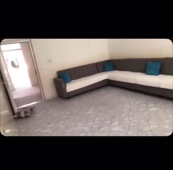 ئەم قەنفەبۆفرۆشتن 10نەفریە زۆرپاکەونویەنرخی 180هەزار
