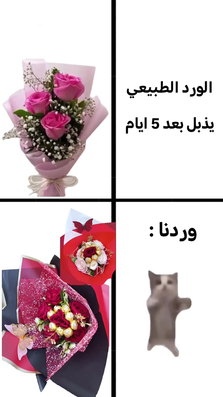ضمان ضد التلف 🤭
للحجز على صفحاتنا او رقمنا *********** 📞
او زورونا لموقعنا الي بحي الجهاد مجاور جامع محمد رسول الله 👏🏻✨
#اكسبلور #مرطبات_وحلويات_دجلة #حلويات #ترند #هدايا
