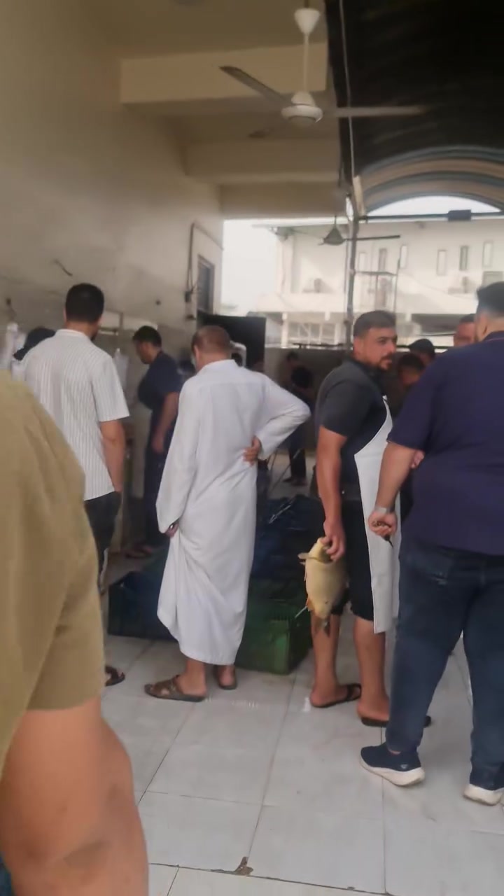 أسماك نهريه • جري • توصيل