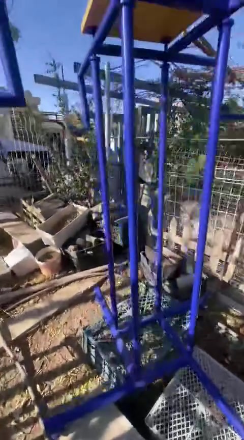 ستاندات • ال سي وايكيكي • سليمانيه
