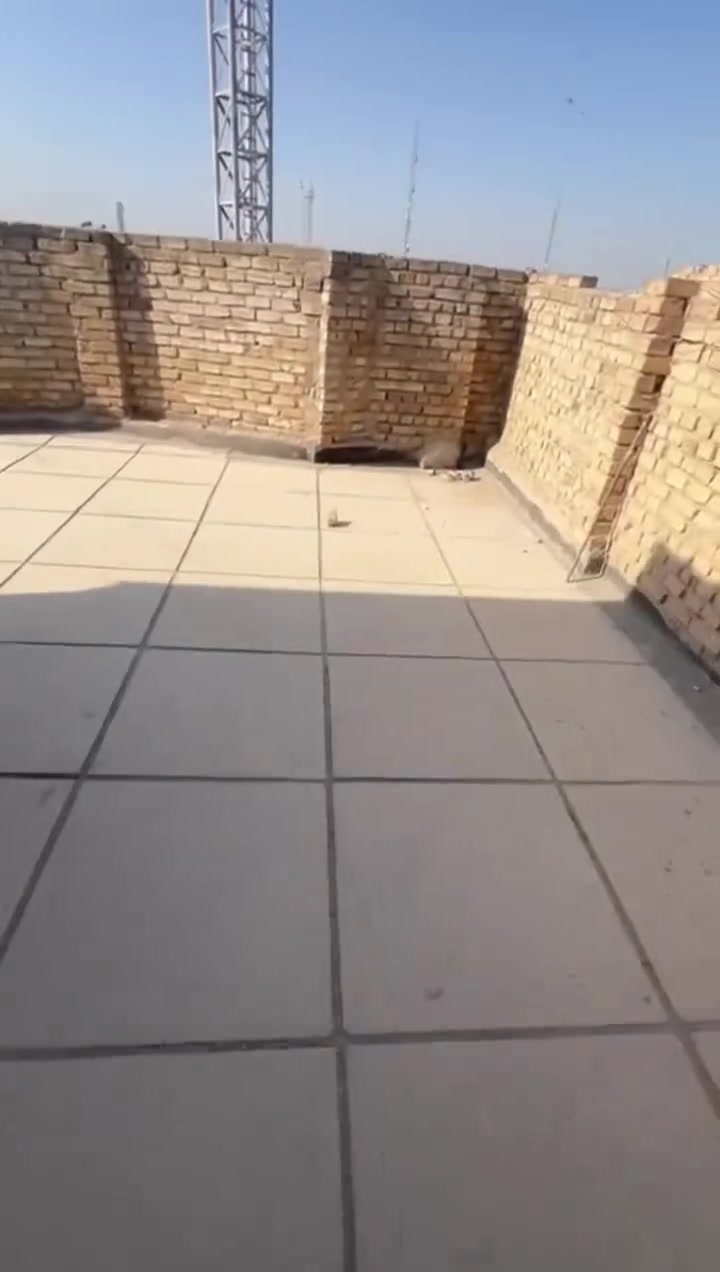 احم بيتك من تسربات المياه قبل فوات الاوان
للعزل ومعالجه ألاسطح والرطوبه  من الامطار 

معالجه الشقوق والفواصل 

عزل الاسطح ضد تسرب المياه 

حمايه طويله الامده الاسطح 

تنفيذ الاعمال باهتمام ودقه 

اتصل او وتساب ***********
