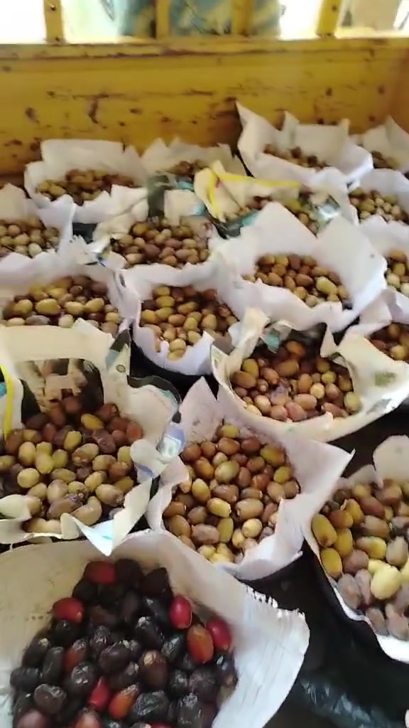 السلام وعليكم مكلف بالنشر 
للبيع تمر خظراوي درجه أولى شرط راس وجعب على القول نظافه أولى شكد متريد يوصلك للبيت شهربان فقط للاستفسار اتصل على هذا الرقم *********** 
تريد ٥ كيلو تريد ١٠ كيلو اليوم العصر يدخل شهربان سارع بالحجز 
تمور قرى سنسل الخير والبركه
