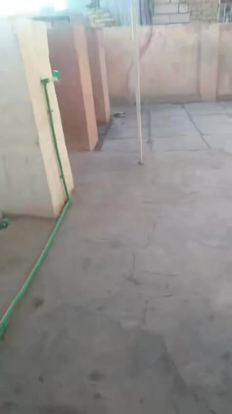 شقه لليجار
350
***********
