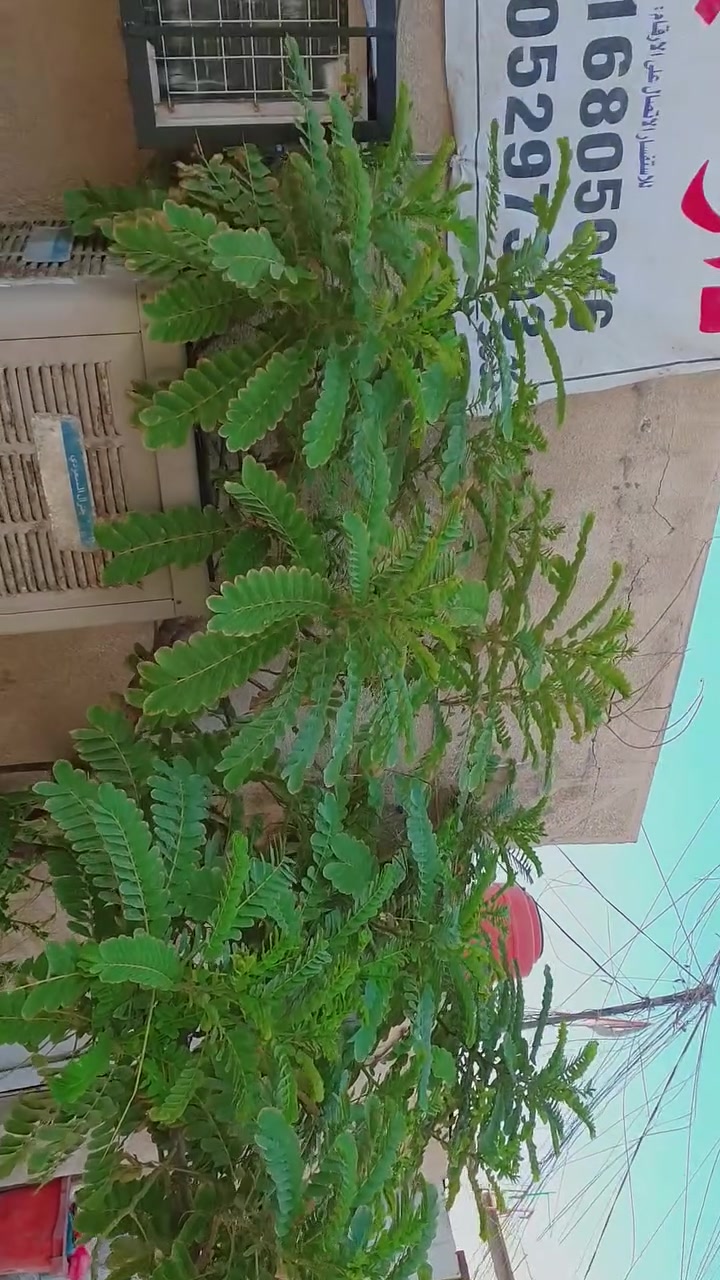 السلام عليكم
بيت للبيع  في حي الاساتذه في الكرفانات ع التبليط 
من جهة الاساتذه مساحة ١٢٥ م يحتوي على استقبال و غرفتين وصاله ومطبخ  وكراج   صحيات  داخلي وخارجي 
السعر اتصل وتدلل او واتس اب موجود 
للإستفسار ***********
***********
