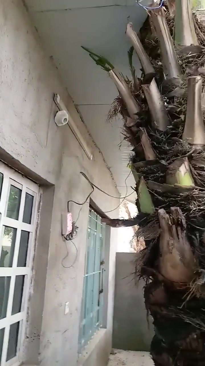 مشتمل للإيجار • سقف ساندويش • حي المهندسين