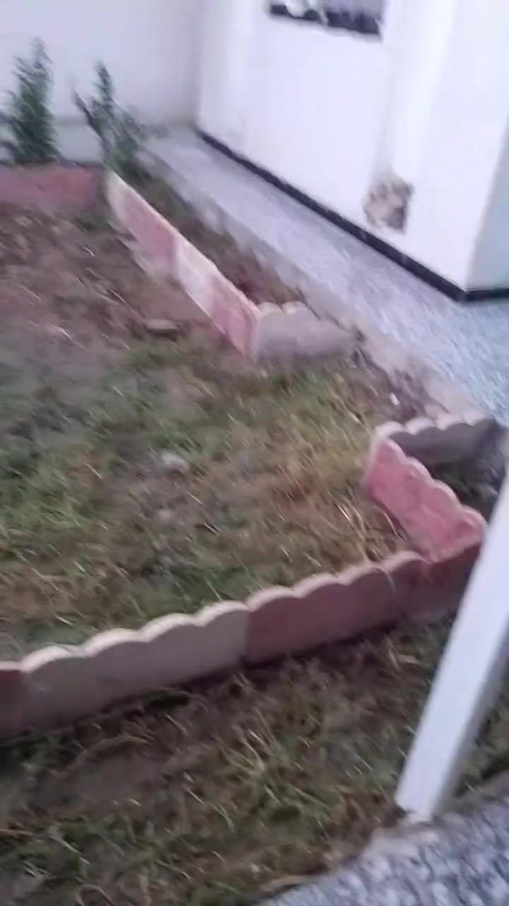 شغل تنظيف حدائق حسب الطلب 
عندك حديقه بيها انقاذ وتحتاج تنظفها 
عندك حديقه وبيها حلفى وقصب ومحتار بيهن 
يمنا الحل نعالجهن بالمبيدات 
عمل اليوم 
تواصل معنا عبر الهاتف او واتساب 
***********
او عبر الخاص

