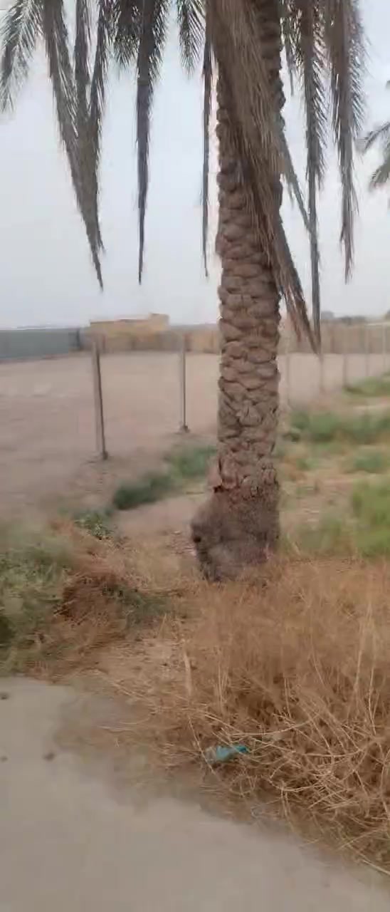 ٢٥ دونم • سند ٢٥ • قرب مجمع نيروز