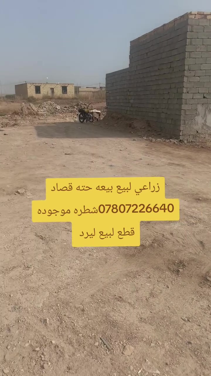 شطرة • أرض • بلا تفاصيل
