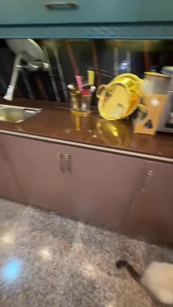 عندي تخم تركي ١٠ مقاعد ب٥٠٠
وكاونتر مترين ونص ب٣٠٠

***********

