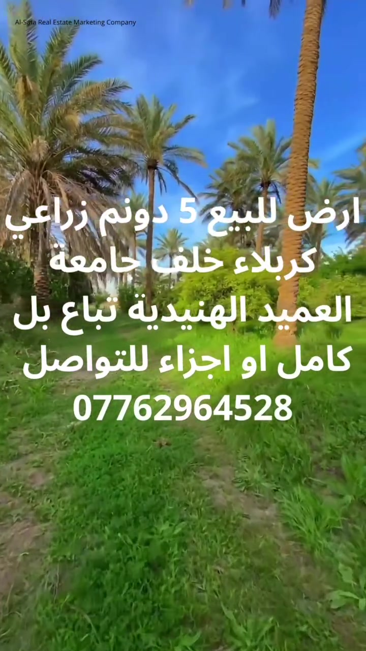 كربلاء • خلف جامعة العميد • ٥